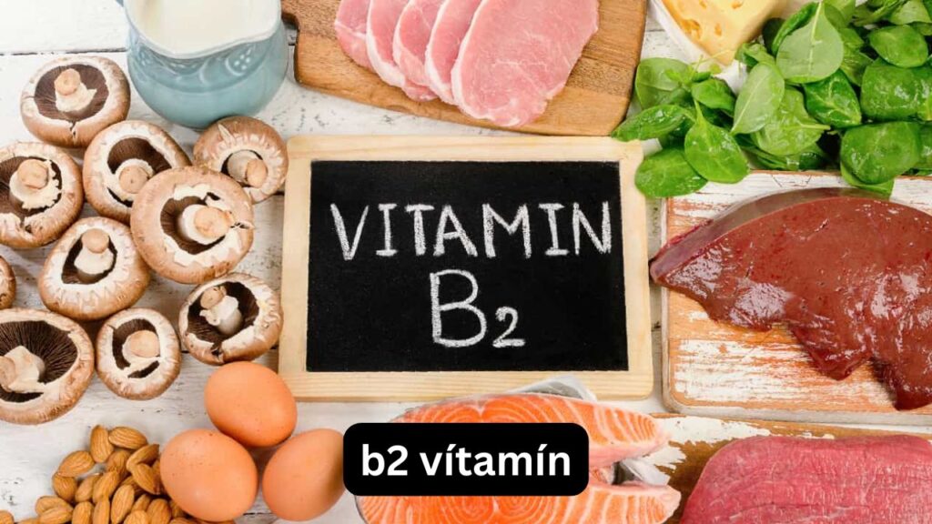B2 Vitamin
